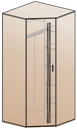 Шкаф для одежды угловой   ШК-810