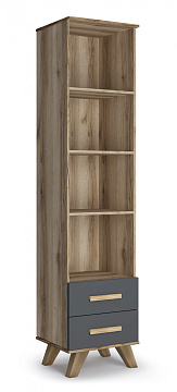 Шкаф-стеллаж 450 