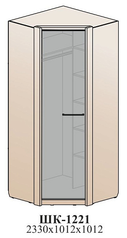Угловой шкаф (комбинированный)   ШК-1221